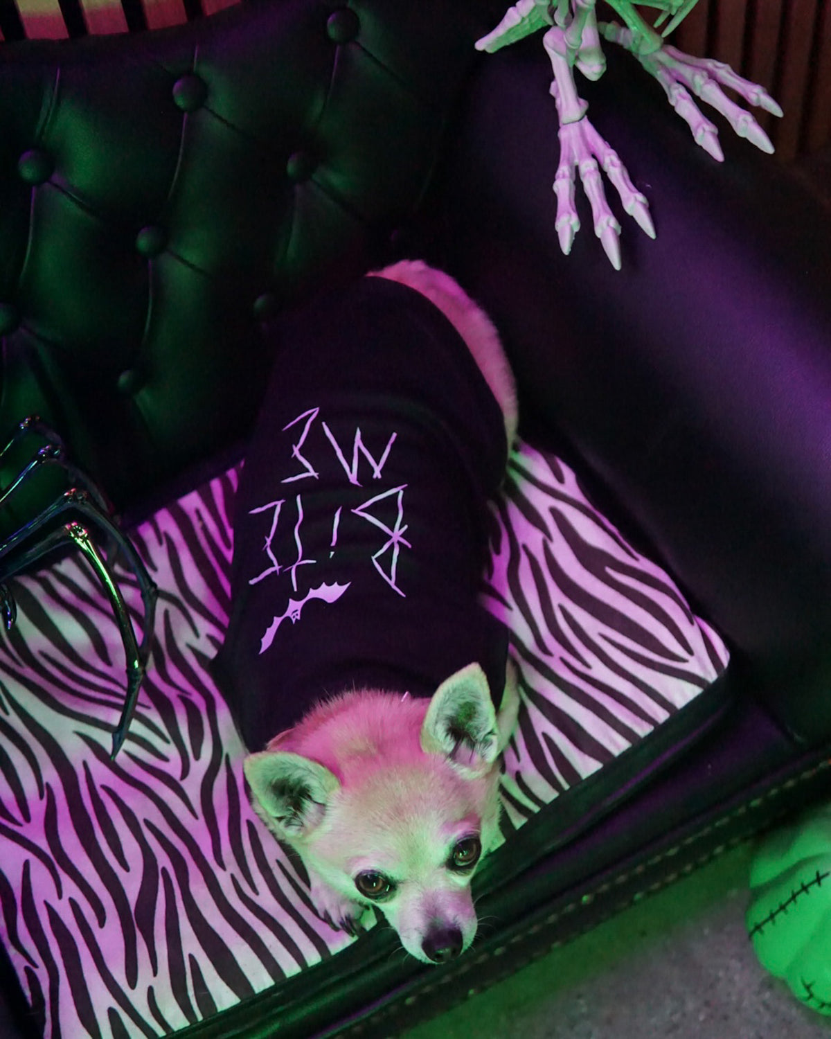 BITE ME Dog Tee